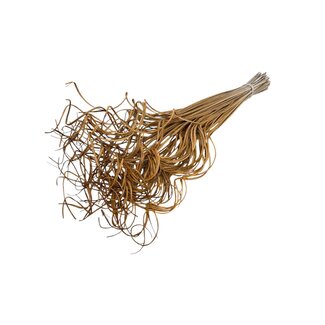 Dutch Dried Dried Palm Leaf Rib | Curly Ting Ting | Colour: Terracotta | Length ± 60 centimeter | Weight 100 gram | Per bunch