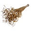 Getrocknetes Palmblad Nerf | Curly Ting Ting | Farbe: Terracotta | Länge ± 60 centimeter | Gewicht 100 gram | Pro Bund