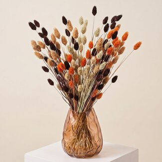 MyFlowers Boeket droogbloemen "Phalaris Terracotta" Mix | | Lengte ± 65 centimeter | Gewicht ± 175 gram