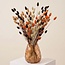 Bouquet of dried flowers Phalaris Terracotta Mix | | Length ± 65 centimetres | Weight ± 175 grams
