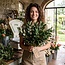 Frische Steineiche (Quercus) aus Italien | ↕ 50cm | ⚖ 250g | Pro Bund