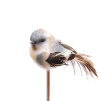 4A Vogel-Beetstecker “Tommy” | Farbe: Blau | Länge ± 50 centimeter | Breite ± 11 centimeter | Pro 25 Beetstecker