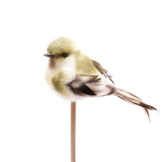 4A Bird stake “Tommy” | Colour: Green | Length ± 50 centimetre | Bird width ± 11 centimetre | Per 25 stakes