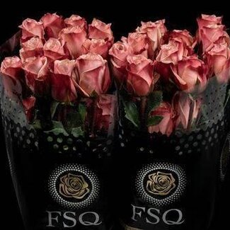 Freshy Großblütige Rose “Havana” | Farbe: Rosa | Länge ± 50 centimeter | Herkunft Ecuador | Pro 20 frische Rosen