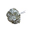 Gepreserveerde Hortensia | Goud Wit | Kleur: Gemengde Kleuren | Hydrangea Gepreserveerde Droogbloemen | Lengte ± 30 centimeter | Per 5 stelen