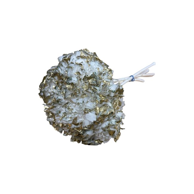 Gepreserveerde Hortensia | Goud Wit | Kleur: Gemengde Kleuren | Hydrangea Gepreserveerde Droogbloemen | Lengte ± 30 centimeter | Per 5 stelen