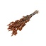 Gedroogde Hazenstaartjes | Kleur: Lichtoranje | Lagurus Droogbloemen | Lengte ± 70 centimeter | Gewicht 100 gram | Per bos