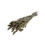 Dried Phalaris | Colour: Gold-coloured | Canary-grass Dried Flowers | Length ± 75 centimeter | Weight 150 gram | Per bunch