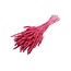 Dried Wheat | Colour: Pink | Triticum Dried Flowers | Length ± 60 centimetre | Weight 100 gram | Per bunch