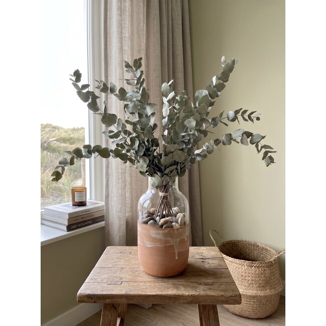Eucalyptus Cinerea séchée naturelle verte | Longueur ± 70 centimètres | Poids ± 150 grammes