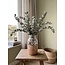 Eucalyptus Cinerea séchée naturelle verte | Longueur ± 70 centimètres | Poids ± 150 grammes
