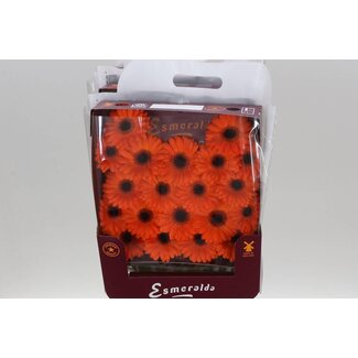 Freshy Gerbera Mini Aqua “Allure” | Colour: Orange | Length ± 45 centimetre | Per 20 fresh flowers