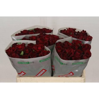 Freshy Roses “Ever Red” | Colour: Red | Length ± 50 centimetre | Per 20 roses