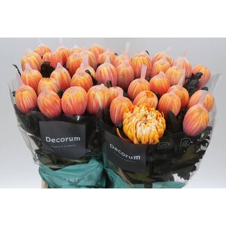 Freshy Deko Chrysantheme Chrysant “Antonov” Farbbehandelt Sunset | Farbe: Gelb Orange | Länge ± 65 centimeter | Pro 10 frische Blumen