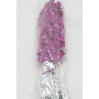 Freshy Dendrobium Orchidee Madam Large | Farbe: Lila | Länge ± 45 centimeter | Pro 10 Stiele frische Blumen