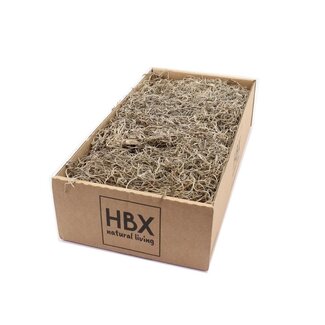 4A Dried decoration Tillandsia Moss | Colour: Light brown | Content 350 gram | Per box