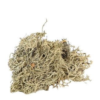 4A Dried decoration Lichen Moss | Colour: Light brown | Content 500 gram | Per box