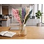 Pastel-coloured dried Pampas plumes | Length ± 70 centimetres | Per 10 stems