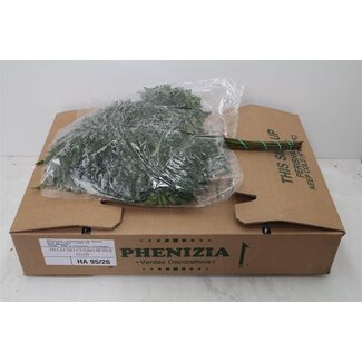 Freshy Rumohra Lederfarn Spanien XXL | Farbe: Grün | Länge ± 65 centimeter | 12 Zweige pro Bund | Pro 6 Bündel