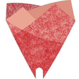 4A PCR Smartsleeve Housses “Louise” | Couleur: Rouge | Longueur 50 centimètre | Largeur 44 centimètre | Par 50 housses