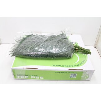 Freshy Chico Teepee Varenblad | Colour: Green | Length ± 70 centimetre | 30 stems per bunch | Per 5 bunches