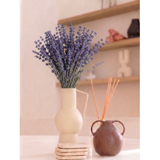 MyFlowers Naturel paarsblauwe Lavendel droogbloemen | Lengte ± 50 cm | Gewicht ± 100 gram