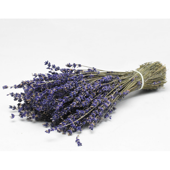 Natural purple-blue Lavender dried flowers | Length ± 50 cm | Weight ± 100 grams