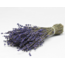 Natural purple-blue Lavender dried flowers | Length ± 50 cm | Weight ± 100 grams