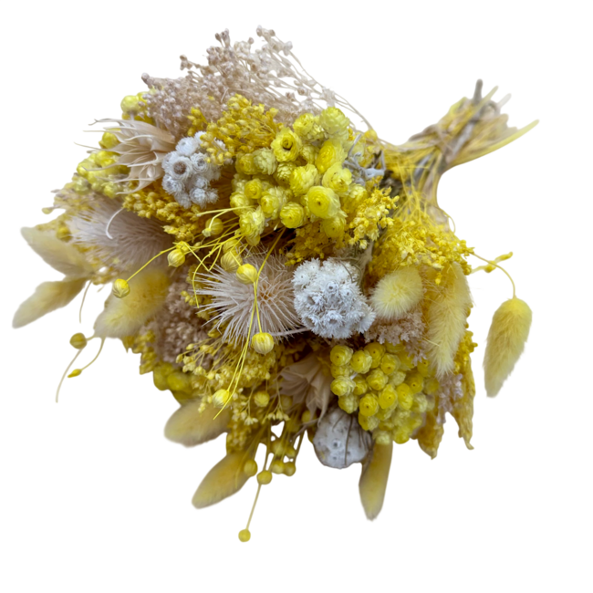 Boeket droogbloemen "Wow San Remo" | Lengte ± 35 centimeter | Met gele, witte en groene droogbloemen
