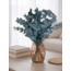 Green Eucalyptus Cinerea | Preserved | Length ± 60 centimetres | Weight ± 150 grams