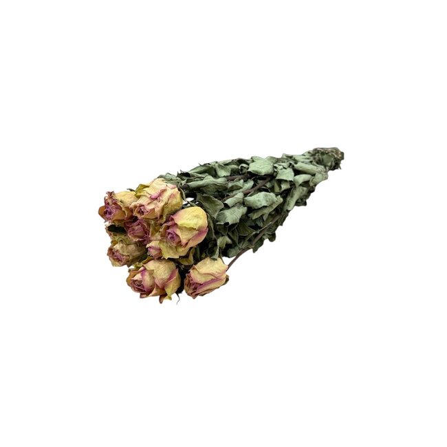 Wit-roze gedroogde Rozen | Lengte ± 50 centimeter | Per 10 rozen
