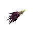 Red Amaranthus Cruentus dried flowers | Length ± 55 centimetres | Weight ± 125 grams