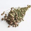 Natural green Nigella dried flowers | Length ± 60 centimetres | Weight ± 100 grams