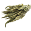 Natural green Amaranthus Cruentus dried flowers | Length ± 60 centimetres | Weight ± 125 grams