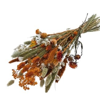 MyFlowers Boeket Droogbloemen “Cute orange” | Kleur: Gemengde Kleuren Oranje | Lengte ± 50 centimeter | Per boeket