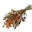 Bouquet de fleurs séchées “Cute orange” | Couleur: Couleurs mélangées orange | Longueur ± 50 centimeter | Par bouquet