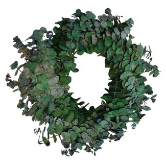 4A Verte Préservée Bébé Eucalyptus Couronne | Diamètre 35 centimeter | Par couronne