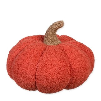 4A Oranje Teddy Pompoen | Diameter 35 centimeter | Per pompoen
