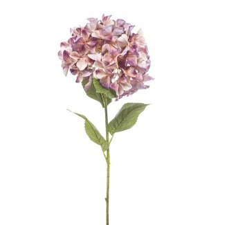 4A Fleurs artificielles d'hortensia lilas | Hortensia artificiel | Longueur ± 90 centimeter | Par 2 branches