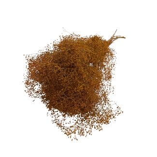 Casa Alegria Orange Preserved Gypsophila Mini | Baby's breath Dried flowers | Length ± 60 centimetre | Weight 100 gram | Per bunch