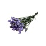 Gedroogde Statice Sinuata | Kleur: Milkapaars | Statice Droogbloemen | Lengte ± 70 centimeter | Gewicht 75 gram | Per bos