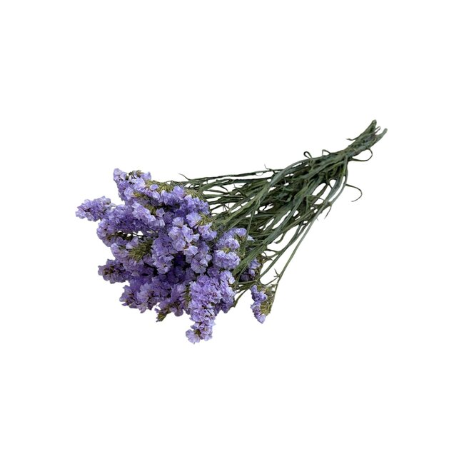 Gedroogde Statice Sinuata | Kleur: Milkapaars | Statice Droogbloemen | Lengte ± 70 centimeter | Gewicht 75 gram | Per bos