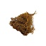 Gedroogde Broom Bloom | Kleur: Donkeroranje | Lengte ± 55 centimeter | Brem Droogbloemen | Gewicht 125 gram | Per bos
