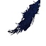 Dark blue Preserved Amaranthus Caudatus | Foxtail amaranth Dried flowers | Length ± 65 centimeter | Weight 125 gram | Per bunch
