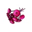 Gedroogde Protea Compacta | Kleur: Fuchsia | Suikerbos Droogbloemen | Lengte ± 30 centimeter | 10 stelen per bos | Per bos