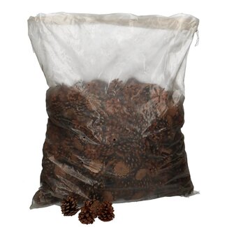 4A Brown Austrian Pine Cones | Christmas Decoration | Weight 5 kilo | Per box