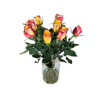 Freshy Fresh red-orange roses "Wild Fox Orange Red" | ↕ 60cm | Ø 5.5 cm per rose | Per 10 roses