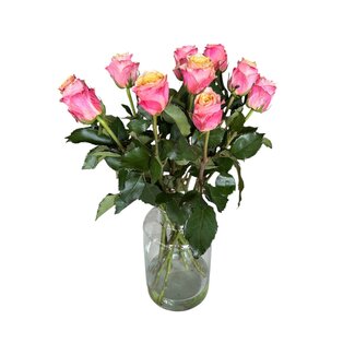 Freshy Frische rosa creme Rosen "Mai Tai Pink Creamy" | ↕ 60 cm | Ø 5.5 pro Rose | pro 10 Rosen