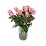 Verse roze creme rozen "Mai Tai Pink Creamy" | ↕ 60 cm | Ø 5.5 per roos | Per 10 rozen