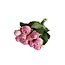 Verse roze rozen "Heidi Violet Pink" | ↕ 60cm | Ø 5.5 cm per roos | Per 10 rozen